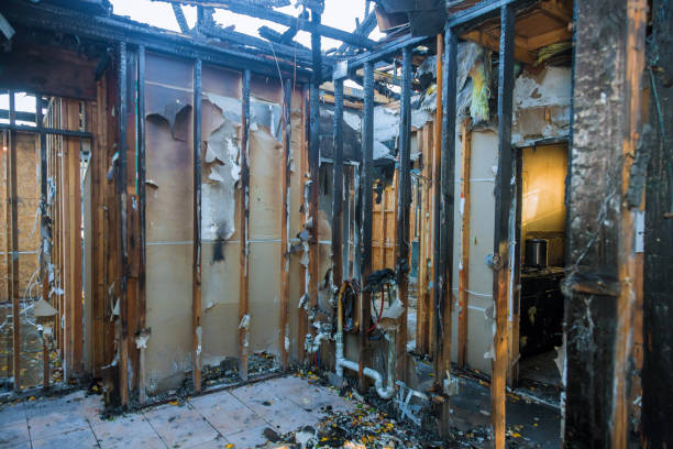 Professional Fire Damage Assessment technician working in Greenville, VA